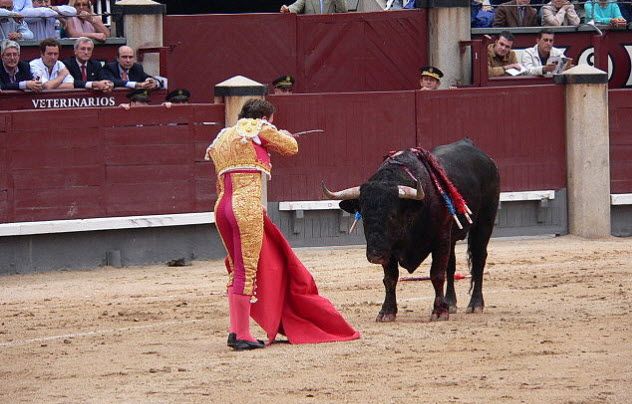 4 - Bullfighting