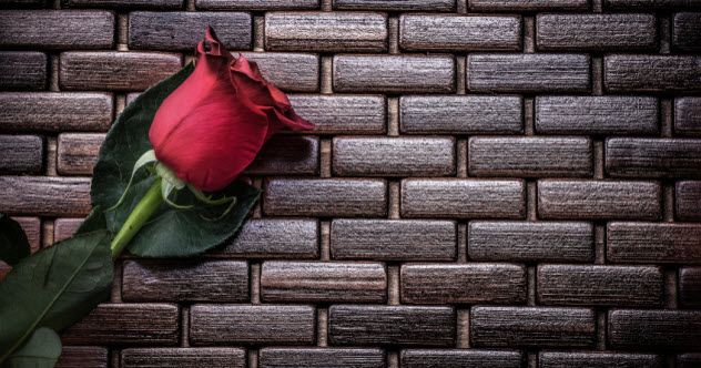 10-rosebud_000080884391_Small