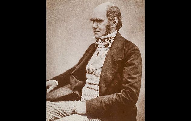 9-darwin
