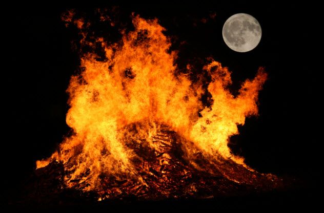 1-burning-cats_000004640244_Small