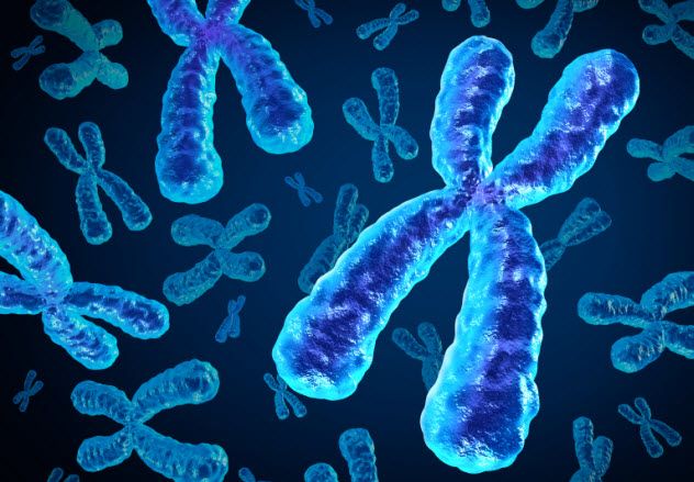 6-x-chromosome_000064654533_Small