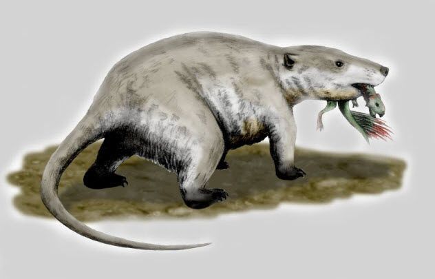 9a-mammal