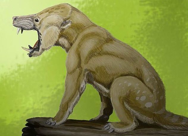 7-condylarth