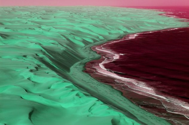 Varied Alien Habitats
