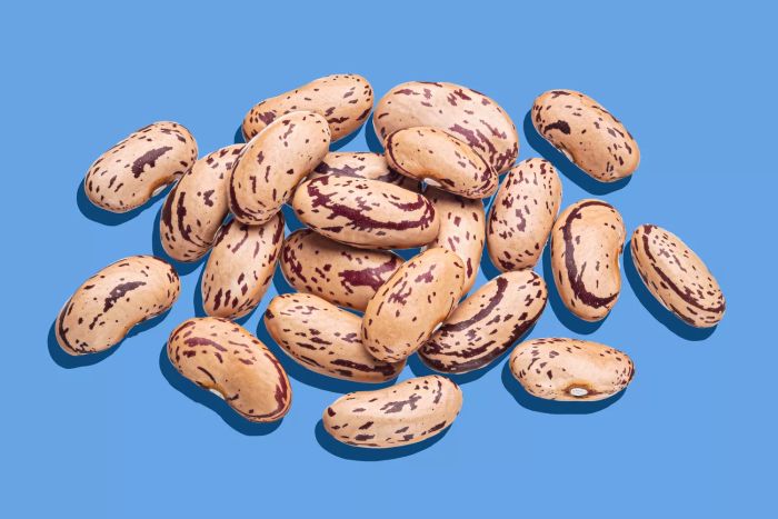 pinto beans