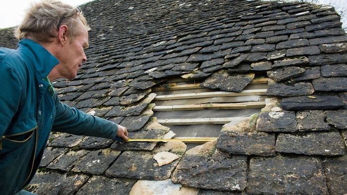 A hole in your roof can provide an easy entrance for both insects and larger intruders, allowing them direct access to your home.