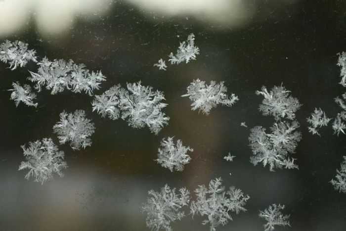 A cluster of snowflakes gathered on a windowpane, with a dark backdrop.