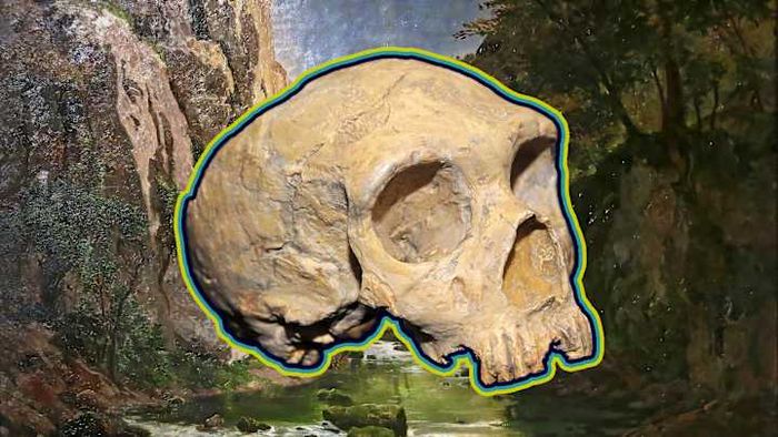 A Neanderthal skull set against the German valley, where the first remains of this human ancestor were discovered.