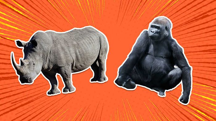Both of these animals are undeniably real.