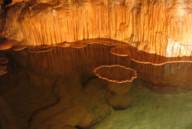 6_Onondaga_Cave_lily_pad_room_by_stannate