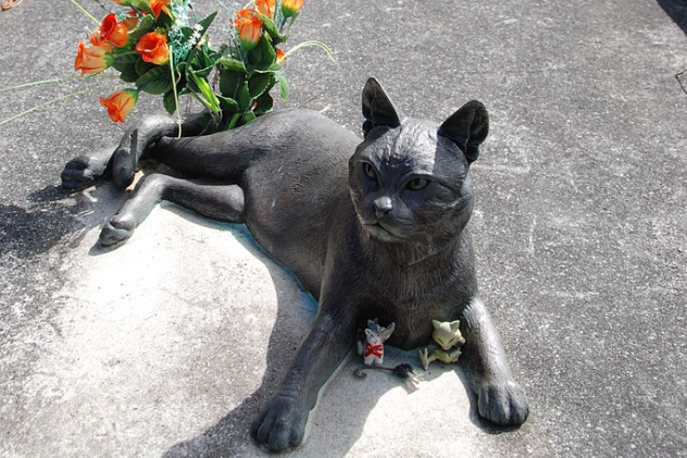 Mrs. Chippy Statue