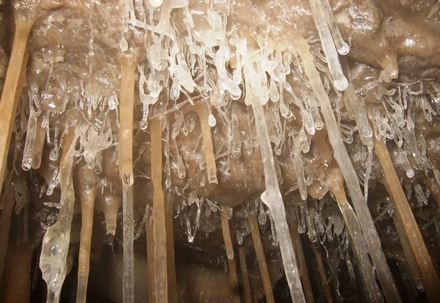 3_1024px-CrippleCreek_Helictites1