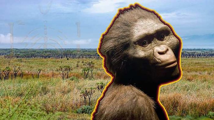 An artist’s interpretation of what Lucy might have appeared like during her lifetime.