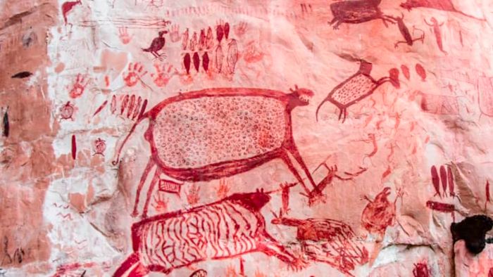 Chiribiquete National Park hosts rock art that dates back over 22,000 years.