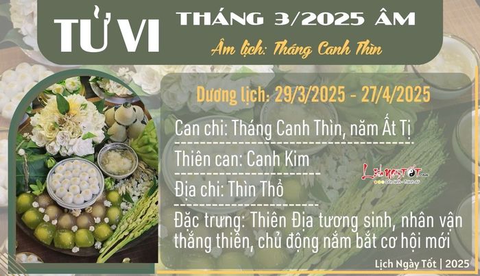 Tổng quan tử vi tháng 3/2025 âm lịch của 12 con giáp