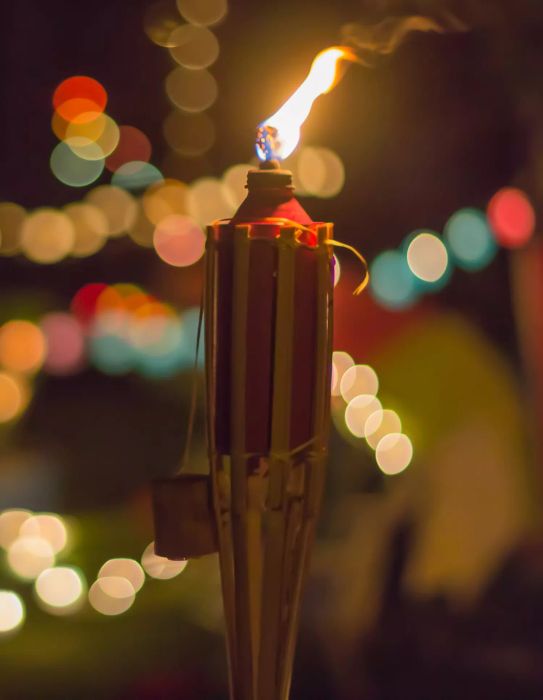 Backyard with bug repellent torches