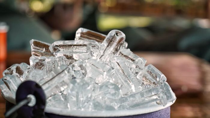 Ice bucket at a summer party