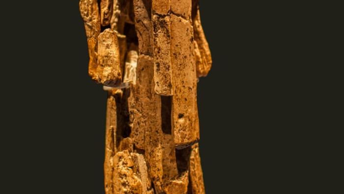 The Lion-Man figure is carved from mammoth ivory.