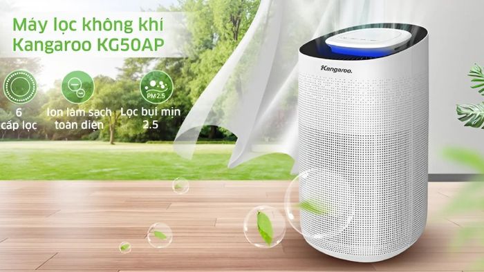 may-loc-khong-khi-Kangaroo-7