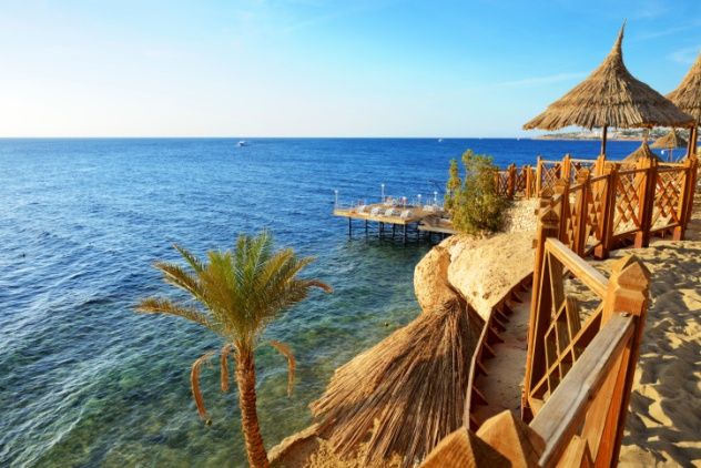 The Red Sea has become a popular hotspot for European tourists in recent years. Some scientists suggest that this surge in human activity could be linked to an increase in shark attacks in the area. In 2010, an Egyptian resort on the Red Sea experienced a series of shark attacks on divers, allegedly caused by oceanic whitetip sharks, which resulted in one death and several injuries. A German diver was also killed in March 2015.