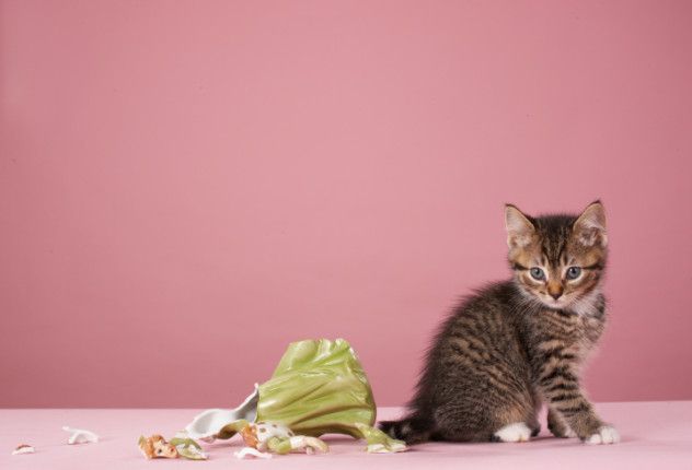 ThinkstockPhotos-83454808