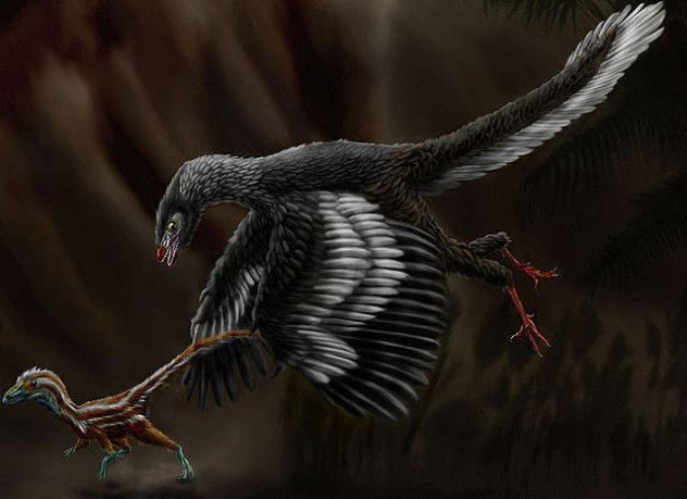 Archaeopteryx_lithographica_by_durbed