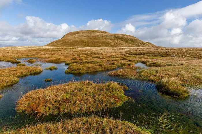 A peat bog in the Scottish Highlands awaits discovery.