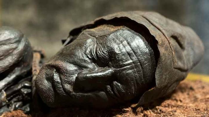 Tollund Man, now showcased at the Silkeborg Museum in Denmark, remains a chilling testament to ancient life.