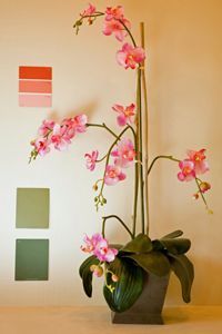 Paint samples that reflect the same hues as the surrounding flowers
