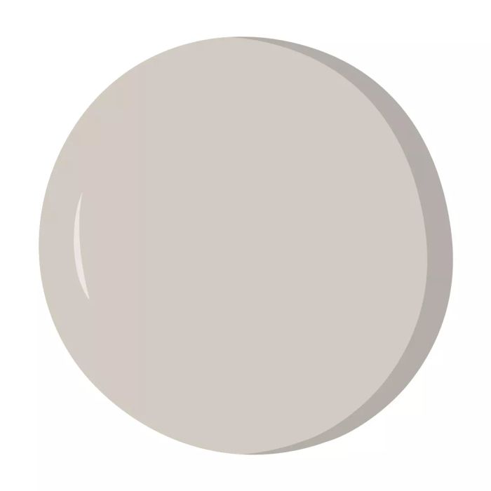 Agreeable Gray by Sherwin Williams