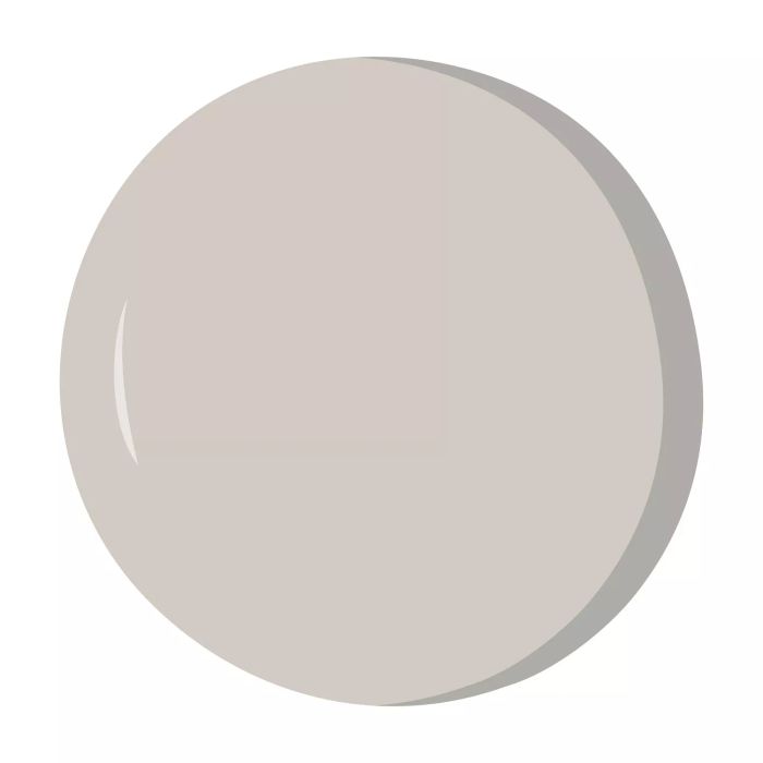Repose Gray by HGTV Home by Sherwin-Williams Gray Paint Swatch