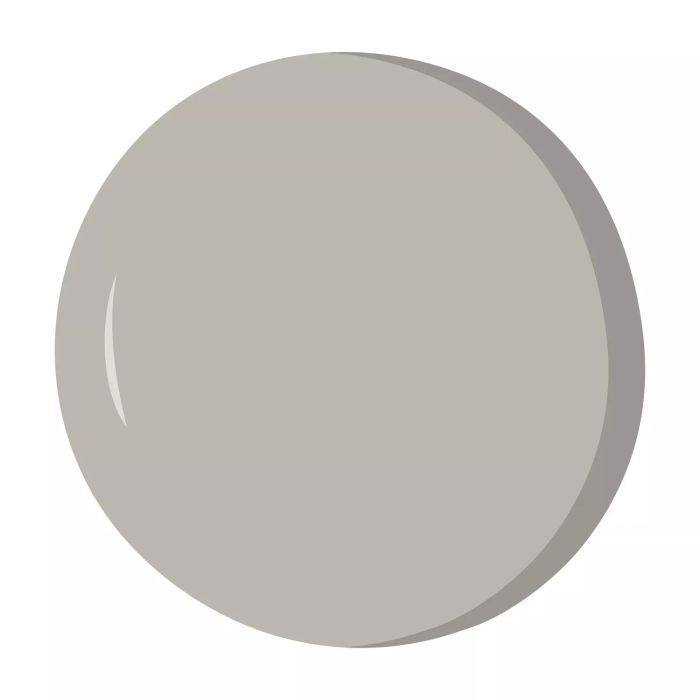 Ghost Writer by Glidden Gray Paint Swatch