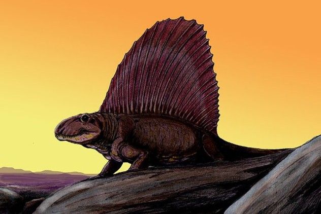 640px-Dimetrodon8DB