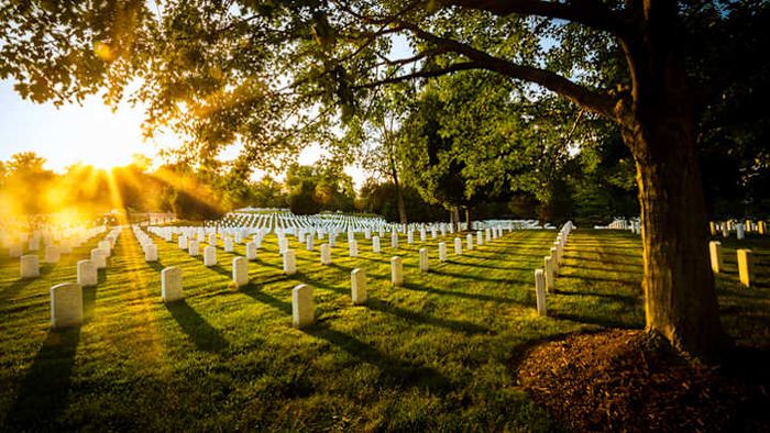 Death marks the beginning of an extraordinary journey.