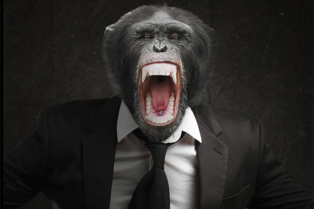 1- animals