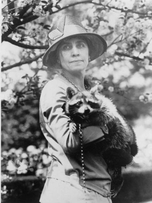 First Lady Grace Coolidge with Rebecca the raccoon.