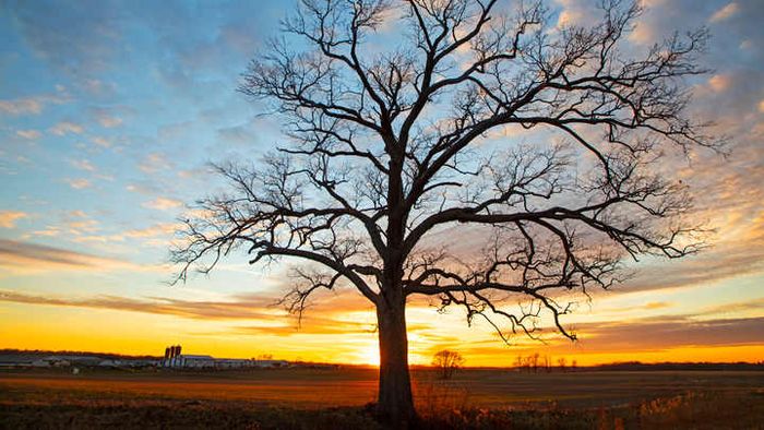 The winter solstice signals the beginning of longer daylight hours.