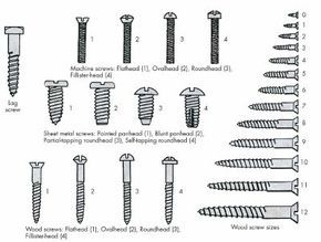 Wood screws, sheet metal screws, flat head screws, and many other varieties are available.