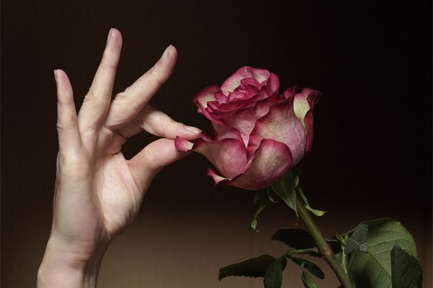 3- Rose