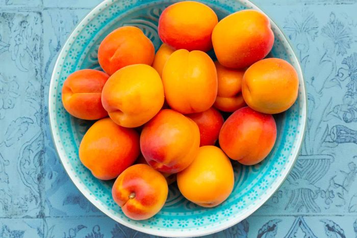 how-to-store-apricots-GettyImages-1151342568