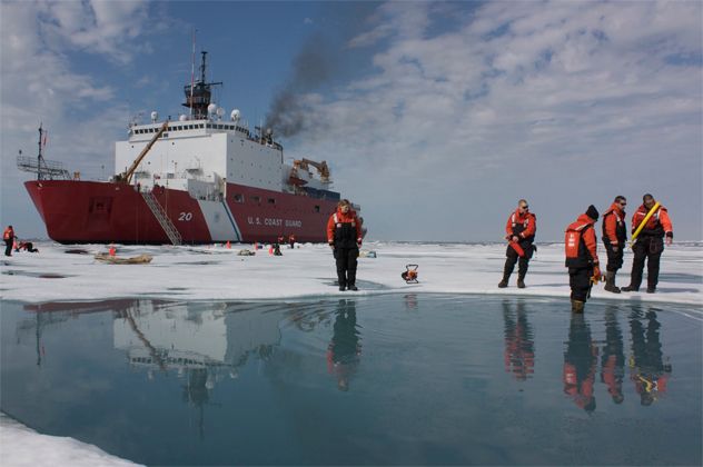 4- Polar Bears