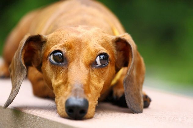ThinkstockPhotos-452051265