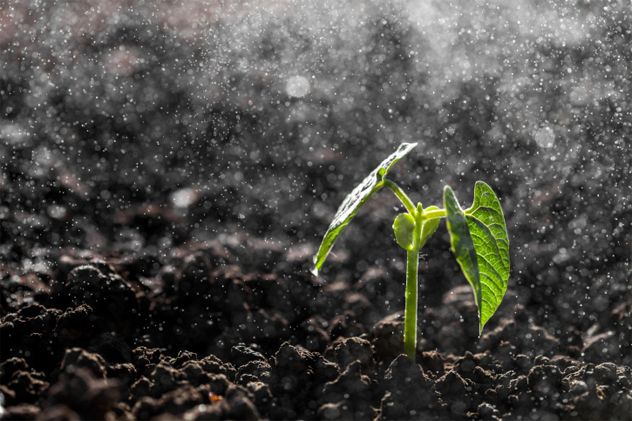6- Soil Moisture
