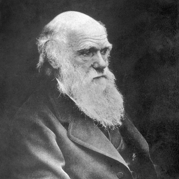 A depiction of Charles Darwin