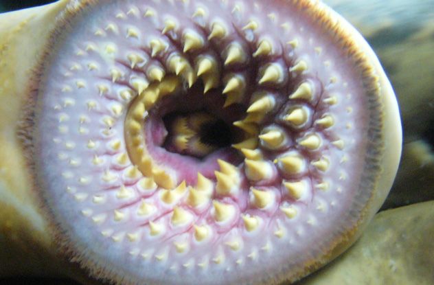05