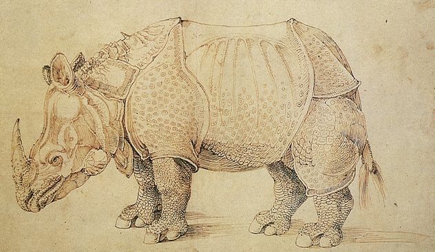 9_Durer_drawing