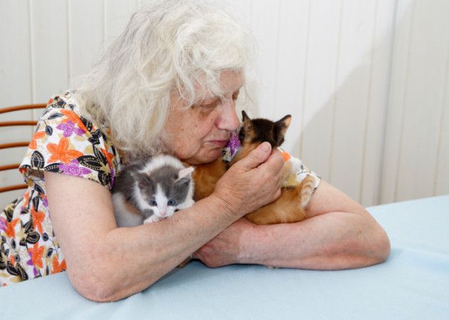 Grandma with Kittens