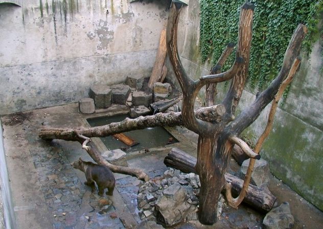 2_BearMoat