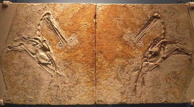 3 P antiquis