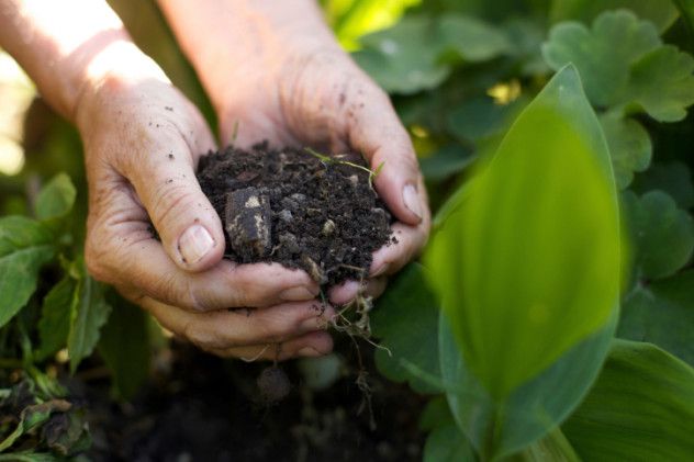 6. Fertilizer